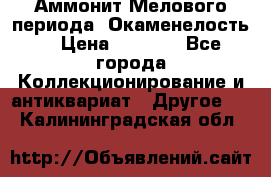 Аммонит Мелового периода. Окаменелость. › Цена ­ 2 800 - Все города Коллекционирование и антиквариат » Другое   . Калининградская обл.